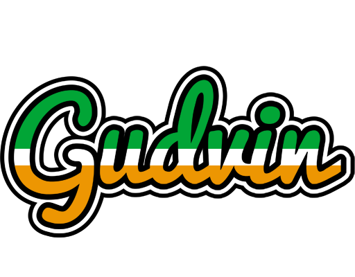 Gudvin ireland logo