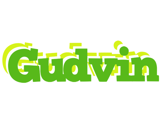 Gudvin picnic logo