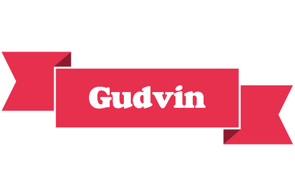 Gudvin sale logo