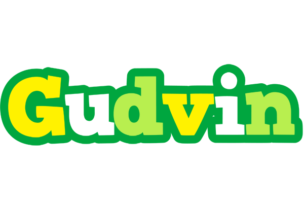 Gudvin soccer logo