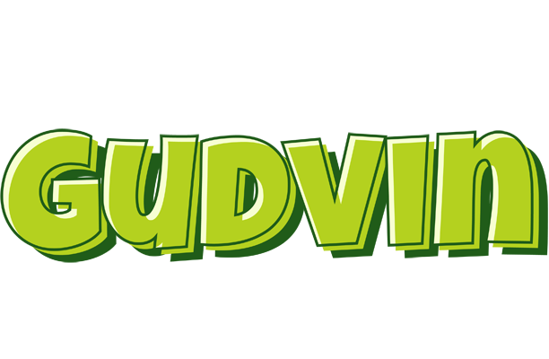 Gudvin summer logo