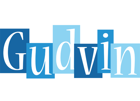 Gudvin winter logo