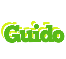 Guido picnic logo