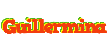 Guillermina bbq logo