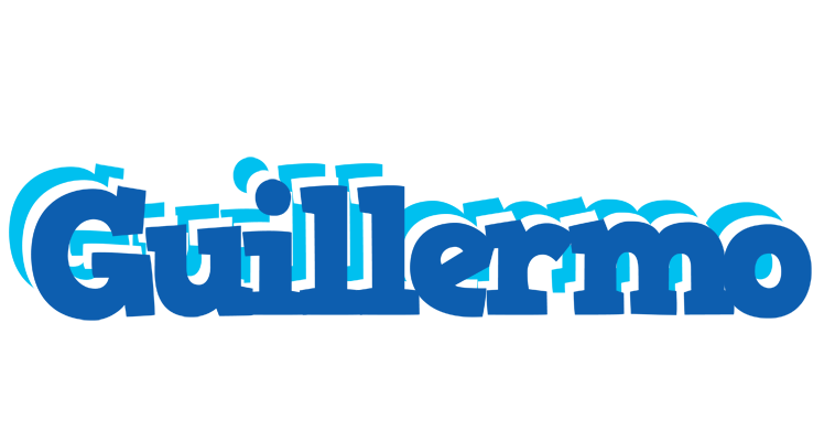 Guillermo business logo