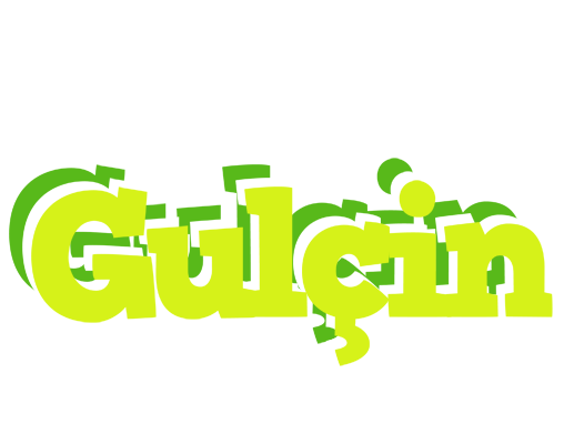 Gulçin citrus logo