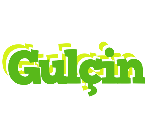 Gulçin picnic logo