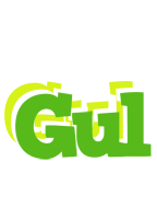 Gul picnic logo