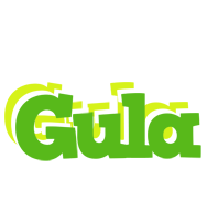 Gula picnic logo