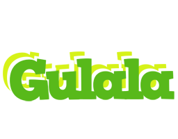 Gulala picnic logo