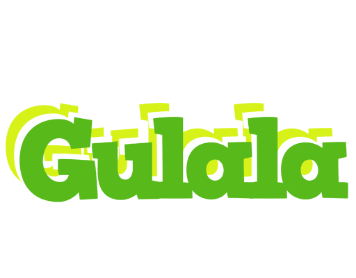 Gulala picnic logo