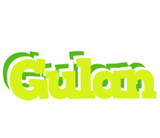 Gulan citrus logo