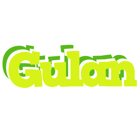 Gulan citrus logo