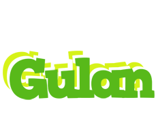 Gulan picnic logo