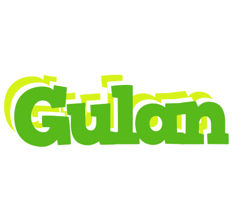 Gulan picnic logo