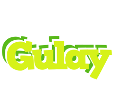 Gulay citrus logo