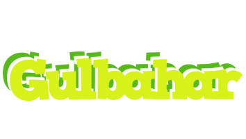 Gulbahar citrus logo