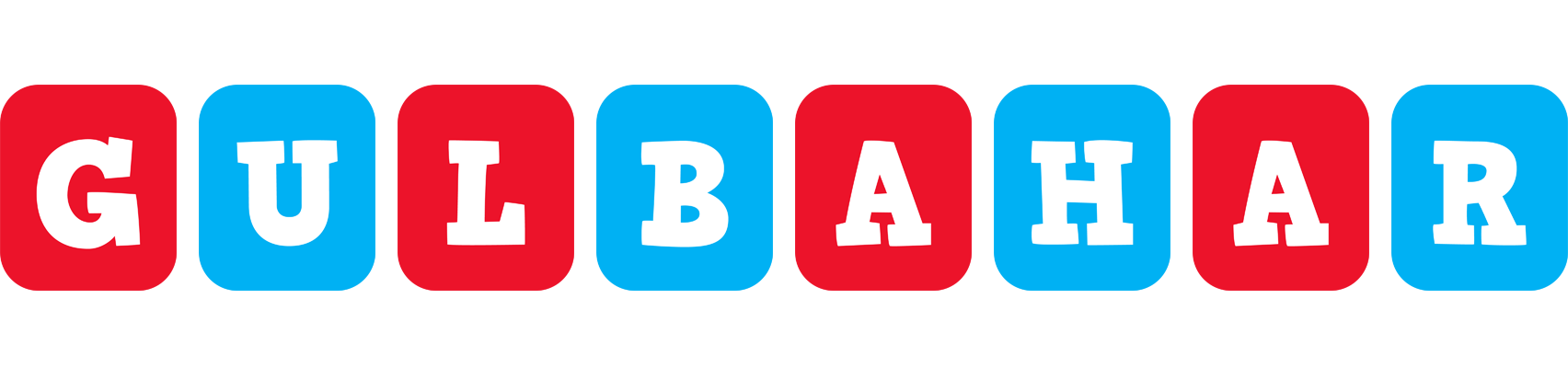 Gulbahar diesel logo