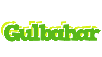 Gulbahar picnic logo