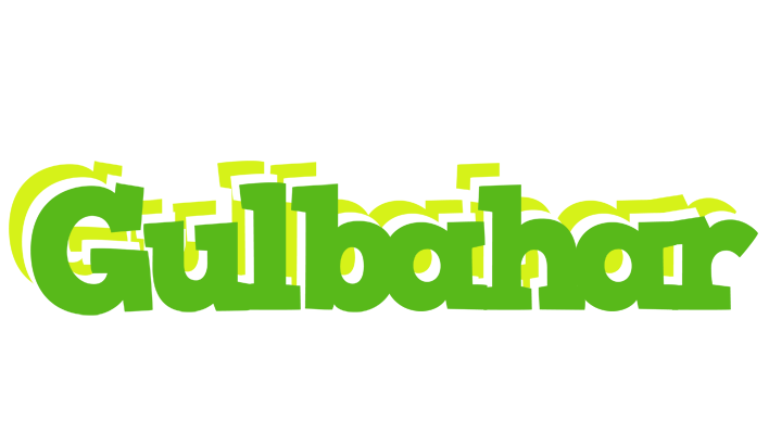 Gulbahar picnic logo