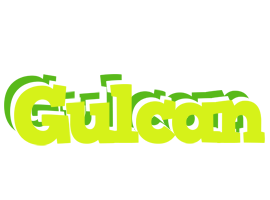 Gulcan citrus logo