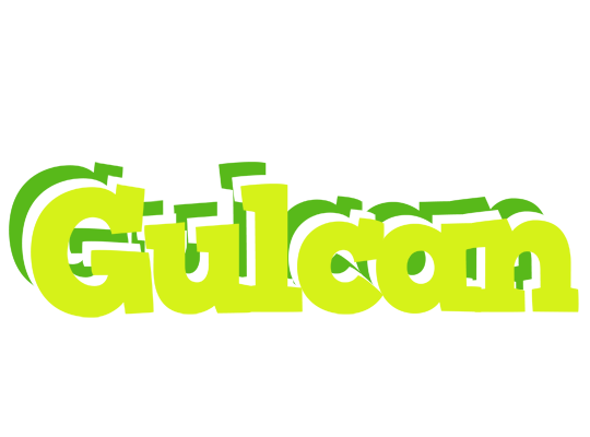 Gulcan citrus logo