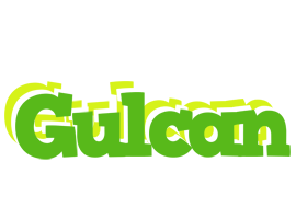 Gulcan picnic logo