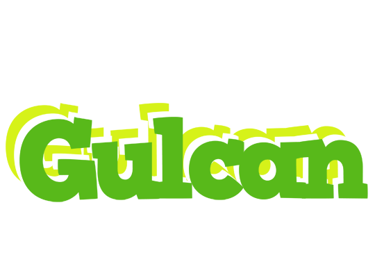 Gulcan picnic logo