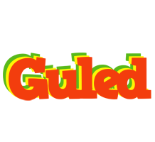 Guled bbq logo