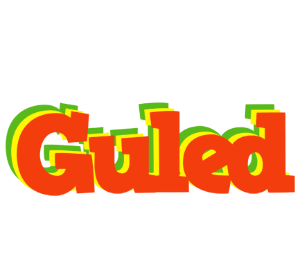 Guled bbq logo