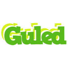 Guled picnic logo