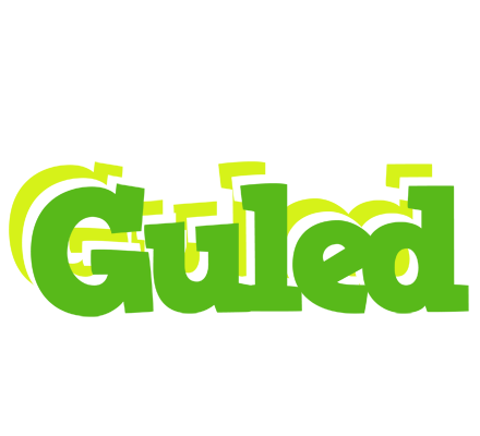 Guled picnic logo