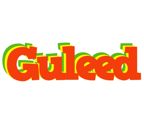 Guleed bbq logo