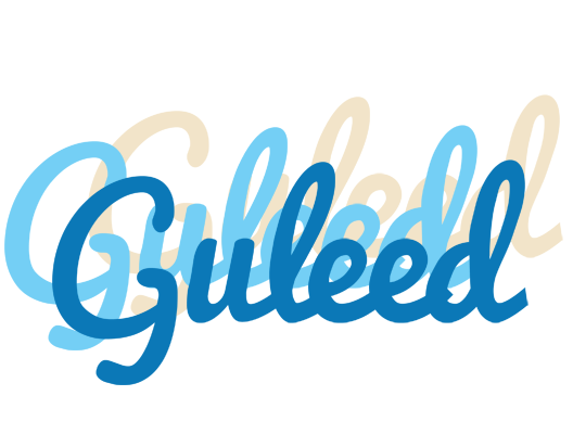Guleed breeze logo
