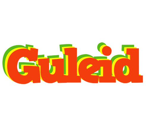 Guleid bbq logo