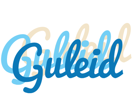 Guleid breeze logo