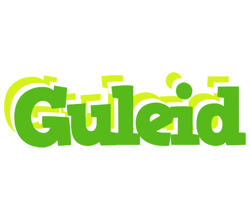 Guleid picnic logo