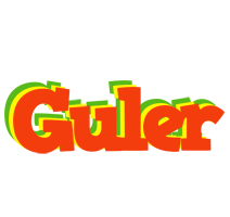 Guler bbq logo