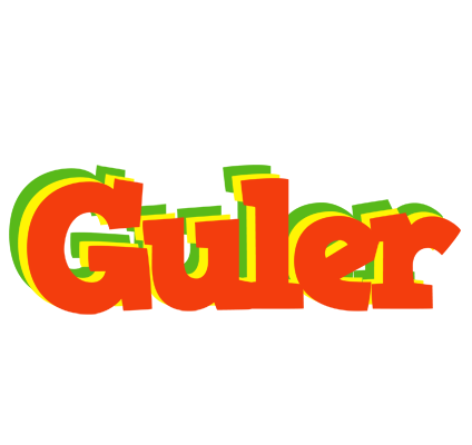 Guler bbq logo