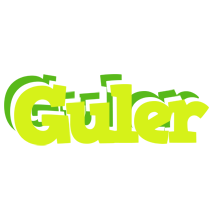 Guler citrus logo