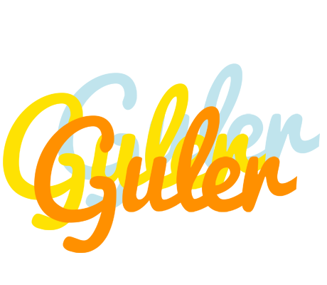 Guler energy logo