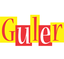 Guler errors logo