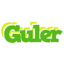 Guler picnic logo