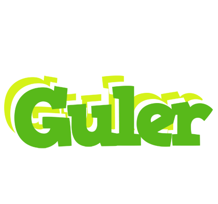 Guler picnic logo