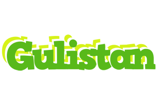 Gulistan picnic logo