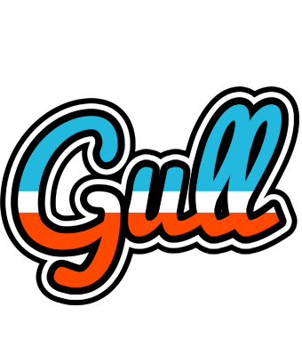 Gull america logo