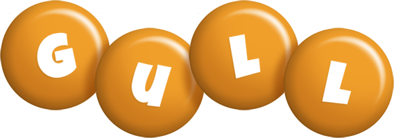 Gull candy-orange logo
