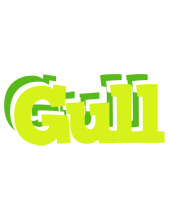 Gull citrus logo