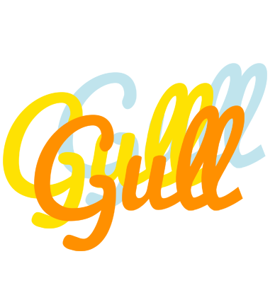Gull energy logo