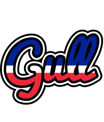 Gull france logo